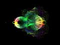 Rendering Buddhabrot - Mandelbrot set Rendering Buddhabrot - Mandelbrot set