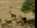 extremadura 24  monfragüe 1/3