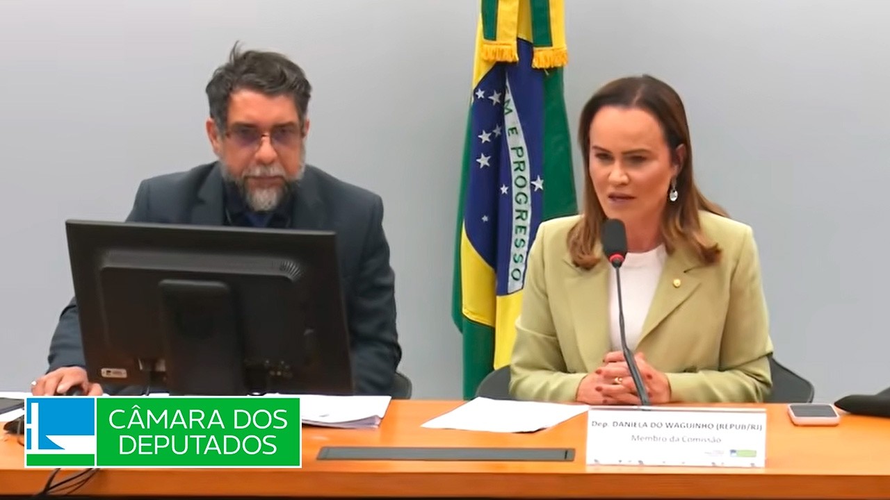 Defesa dos Direitos da Pessoa Idosa - Discussão e votação de propostas - 12/08/2026