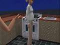 Mother giving birth to twins while house on fire--Sims 2