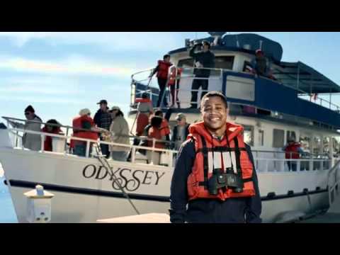 Why Groupons Super Bowl Ads Sucked & Other Marketing News... photo Why Groupons Super Bowl Ads Sucked & Other Marketing News...