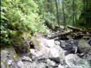 1st falls of henline mountain
