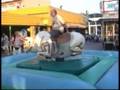 Bucking Bronco
