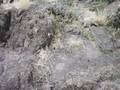 Battle of Mt. Suribachi Part 3