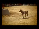 TRIGUEROS,VIDEO CAPEAS 2008