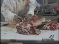 Beef Carcass Break Down 5 - butcher Beef Carcass Break Down 5 - butcher