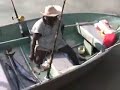The Catch of The Day
