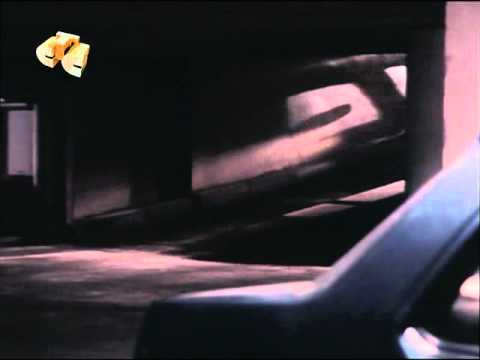 Renee Soutendijk