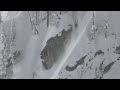 Natural Selection Highlights