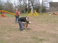 Izgi&Z�mi von Dorlatos training
