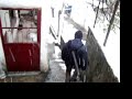zonguldak