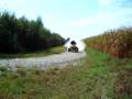 videos de Renegade800  à donf.........!!