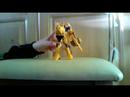 my review on cheetor my review on cheetor