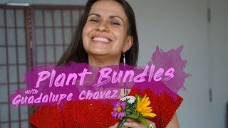 Wellness: Plant Bundles