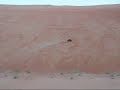 FG RC HAMMAR in sand