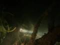 videos de Tauchabenteuer im Bodensee Nachts am Wrack