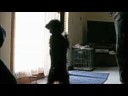 Kiley Trick(s)