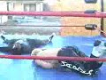 komi christopher vs  marcus riot