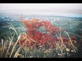 \"Columba aspexit\" Hildegard von Bingen \"Columba aspexit\" Hildegard von Bingen