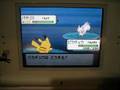 ポケモン ポケトレ連鎖で色パチリス出現