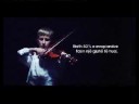 Urban Fm - Violina