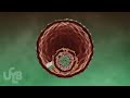 RT @batier: La vidéo sur le cycle de vie du virus de l'hépatite C réalisée au service Icap dépasse les 20 000 vues sur Youtube http://t.co/6wZO9WFt