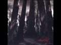Ikonoklast - She