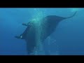 Solmar V - Revillagigedo (Socorro) Islands, Mexico