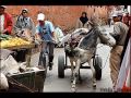 Marrakech-Online-Par