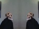 yes, ive made a sequel to my lame video, this one is either better, or worse than the last. 

turns out, the bird from the last movie wasn't killed, but just wounded by the brutal stabbing, so this time, the skeleton made sure he wouldnt come back.

if you enjoy puppet shows with no puppets, plot, but lots of blood, this is the movie for you.

and yes, this time a stuffed animal was harmed in the making.

music is still from chex quest (its an old computer game from a box of cereal)
ill make my own once i manage to figure out how to hook up my keyboard to my computer.