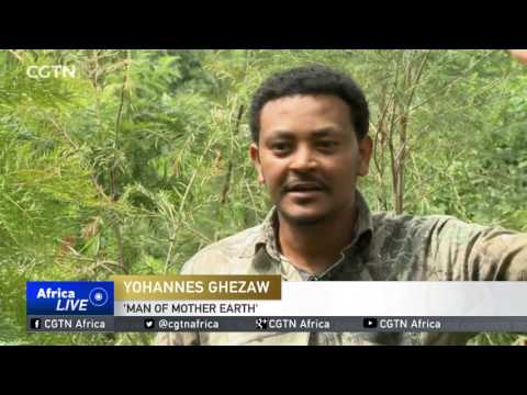 Tellwut Top Picks! Ethiopia 'breaks' tree-planting record to tackle climate change