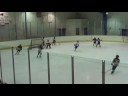 Mites Phantoms Mites Phantoms