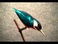 Kingfisher by Tim Cotterill, Frogman