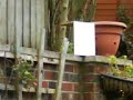 home made airgun firing home made airgun firing
