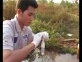 Action contre la Faim (ACF) - Cambodge
