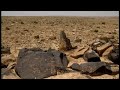 arte rupestre nel negev centrale: