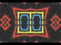 HooT Kaleidoscoped SHS Reversed