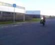 kawasaki zephyr wheelies 550 
