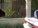 hernan house   philippines