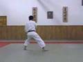 Taikyoku Shodan Shotokan