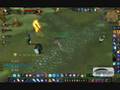 videos de pvp 70 mage