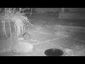 Click here to watch this video Scratch