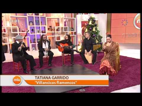 Villancicos Flamencos Videos Miralavida