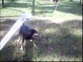 videos de Drake loves water!!!