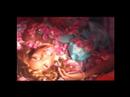 Peppermint: Servin' It Up (Drag Queen Music Video) Peppermint: Servin' It Up (Drag Queen Music Video)