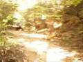Hensley Settlement Ride from WTOP Pt. 1