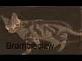 DISCLAIMER: I DO NOT OWN ANY OF THESE PICTURES. The song is Emotionaless by Good Charlotte.

Its just a video i put together. Hehe. Hope you enjoy it :)
I have not made a music video before, so if it sucks that is NOT my fault.