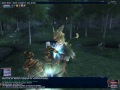 Migratory Hippogryph Fight Migratory Hippogryph Fight