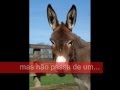 Lula Bebum