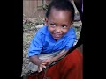st.kitts little king st.kitts little king
